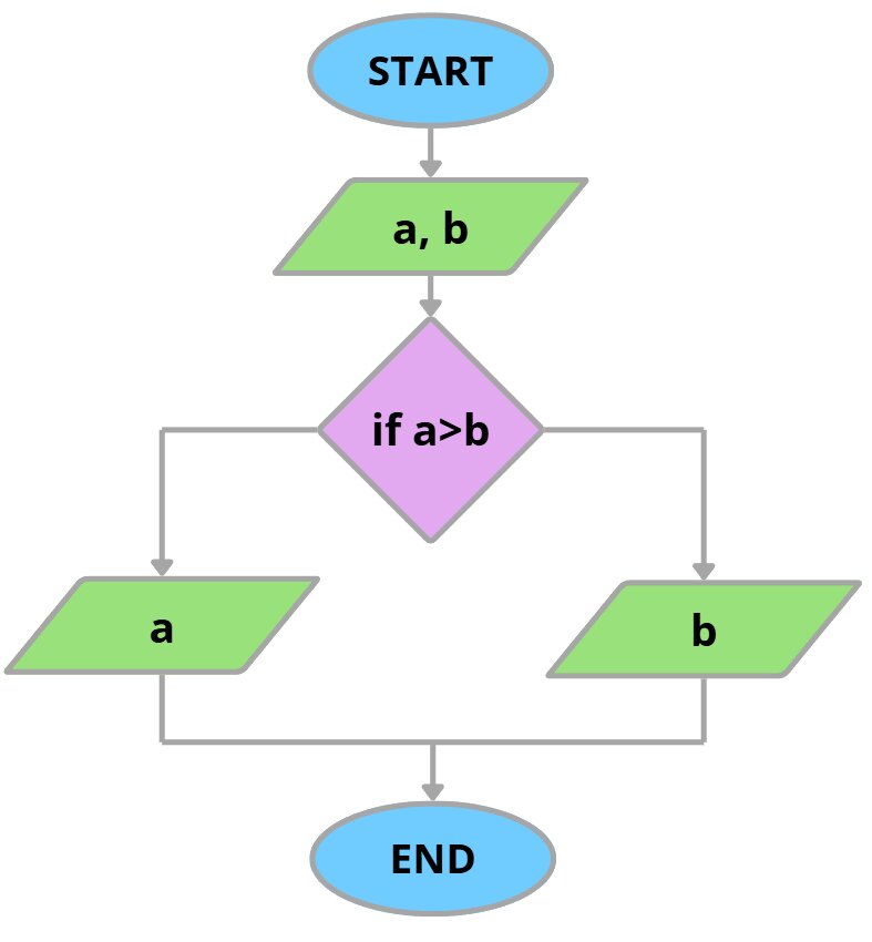 Branching Flowchart